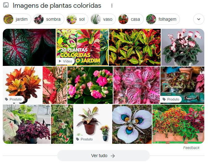 Seção com várias imagens de plantas coloridas, algumas com indicativo "vídeo".