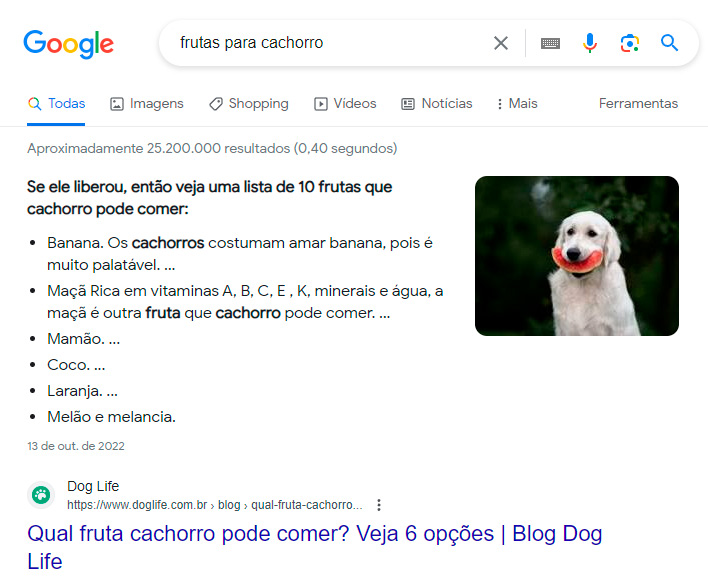 Lista para pesquisa "frutas para cachorro" com 6 frutas e uma foto.