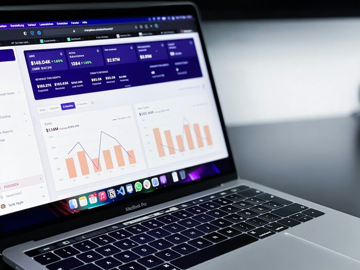 Tela de computador com aba de dados e gráficos a serem analisados.